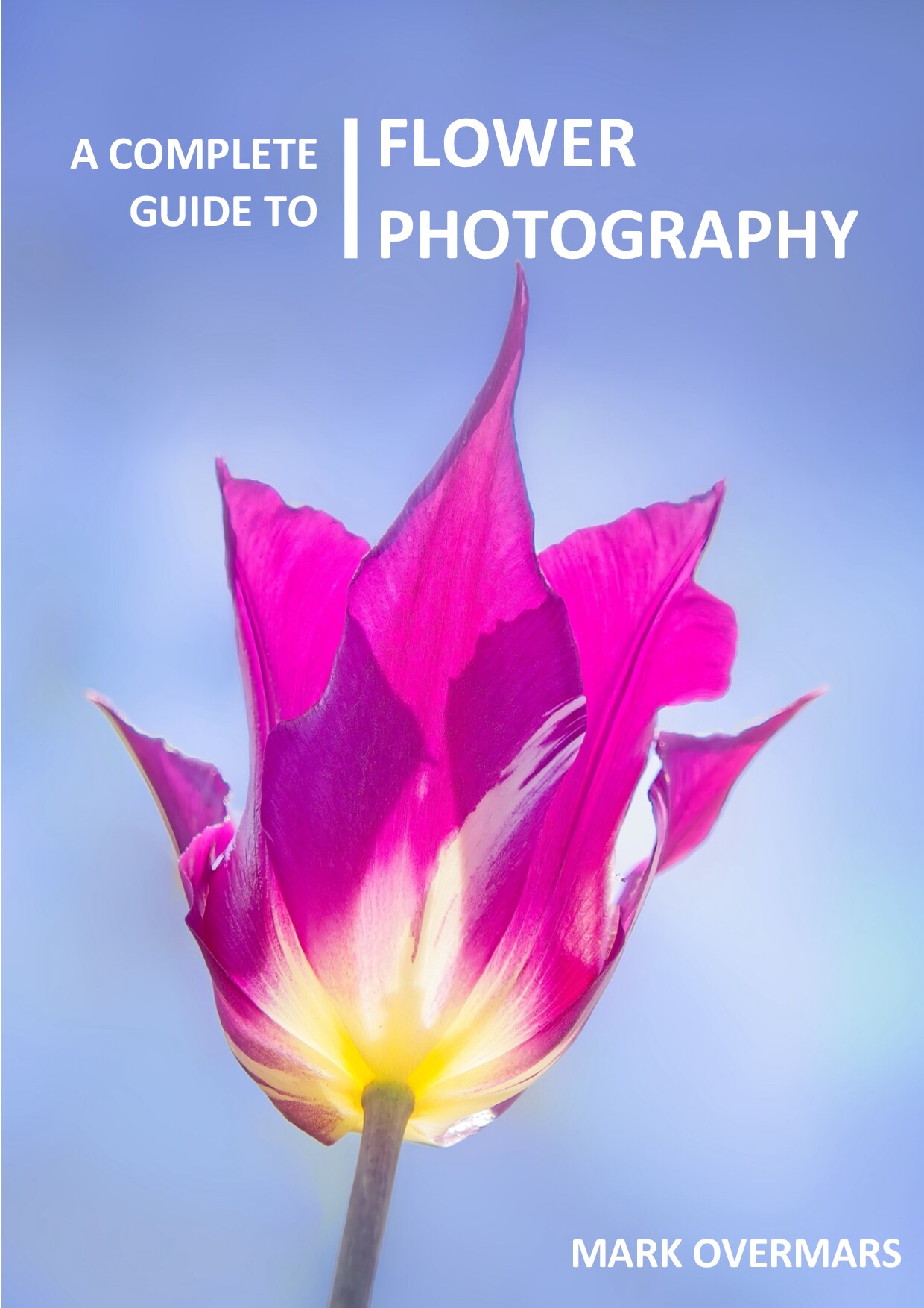 A Complete Guide to Flower Photography